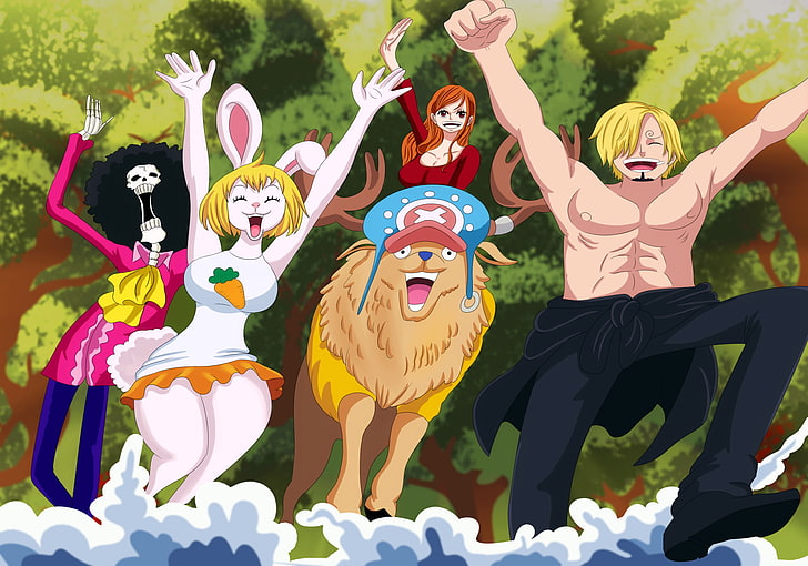 Anime, One Piece, Brook (One Piece), Carrot (One Piece), Nami (One Piece), HD wallpaper