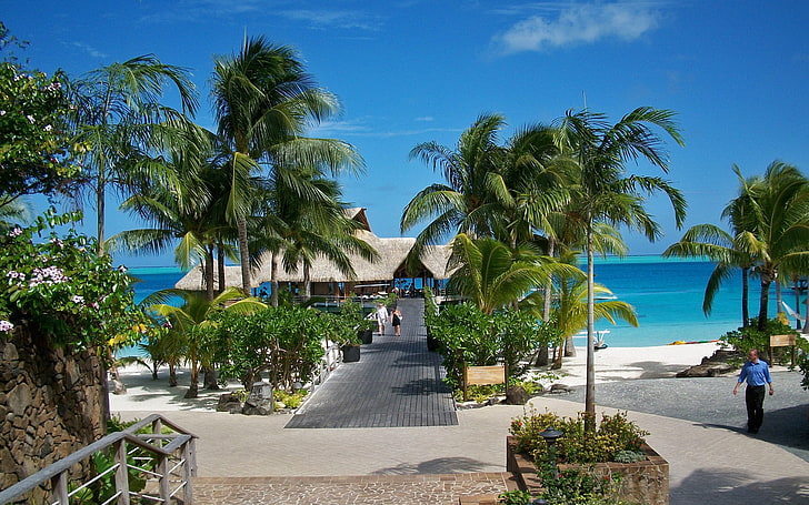 beach paradise Bora Bora Beach Resort Nature Beaches HD Art, tropical, HD wallpaper