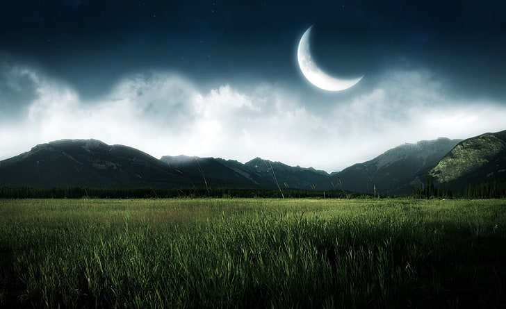 Dreams Of A Fantasy World, grassland and crescent moon, Aero, HD wallpaper