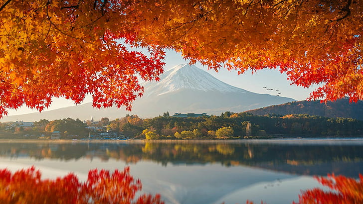 photography japan mount fuji, autumn, lake, reflection, mountain, HD wallpaper