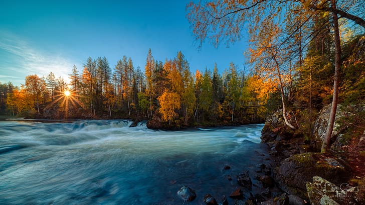 autumn, forest, trees, river, sunrise, dawn, Finland, In Kuusamo, HD wallpaper