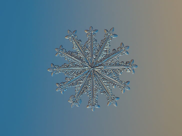 closeup photography of snowflakes, macro, Wheel of time, snow  crystal, HD wallpaper