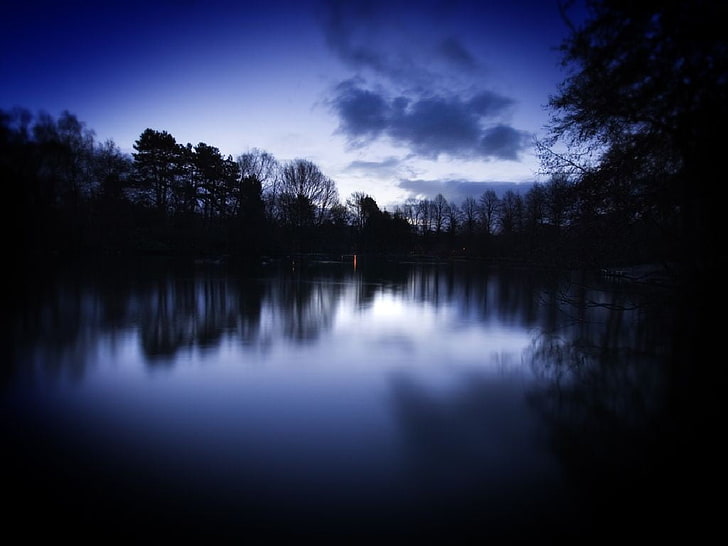 body of water, dark, forest, lake, river, nature, reflection