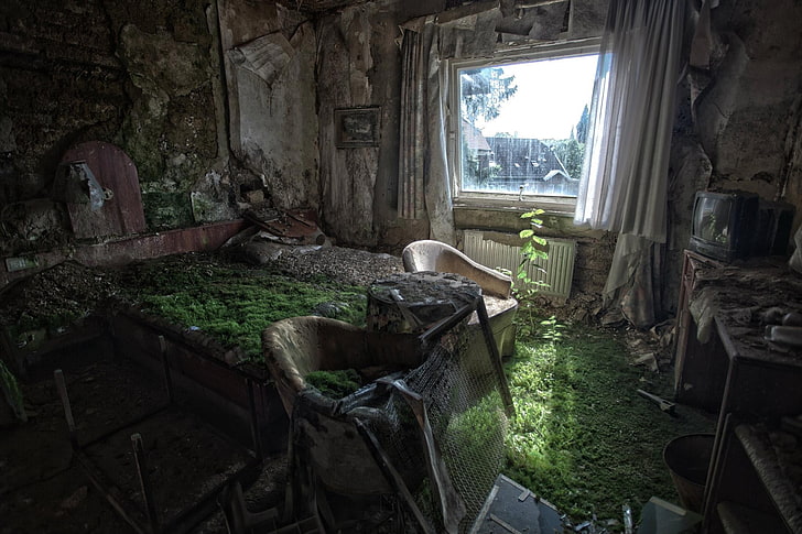 green sod, ruins, room, abandoned, window, indoors, day, obsolete