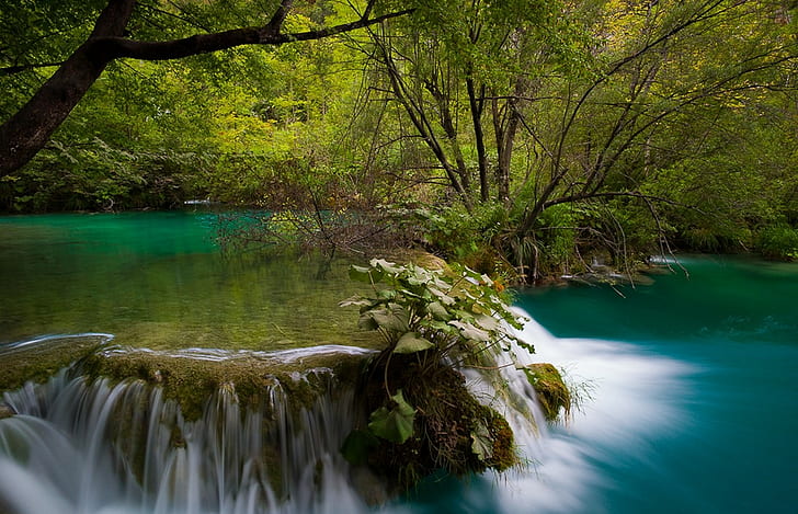 river, waterfall, forest, shrubs, Plitvice National Park, Croatia
