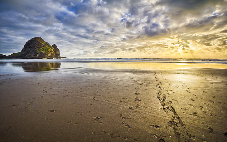 The Lies Piha Known Surfing Beach On The Northwest Coast Of The North Island Of New Zealand, HD wallpaper