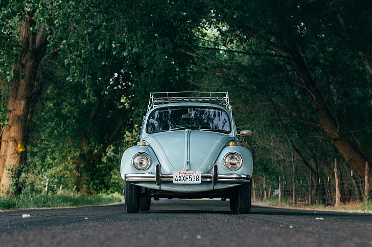 Volkswagen, road, California, trees, Volkswagen Beetle, HD wallpaper