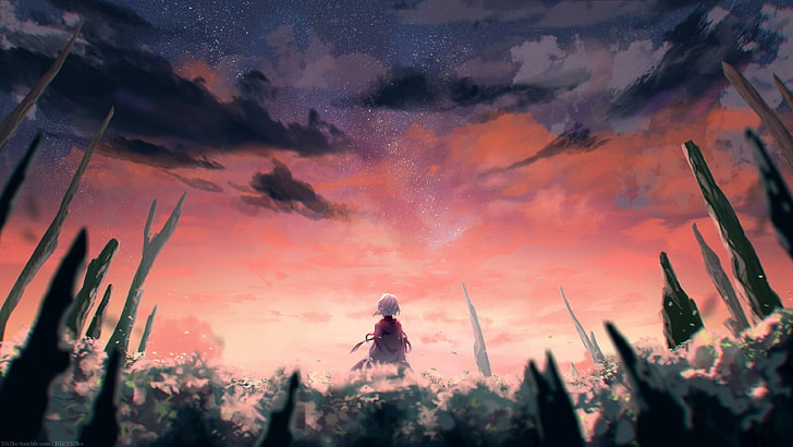 anime wallpaper, landscape, sky, red, sunset, stars, fantasy art