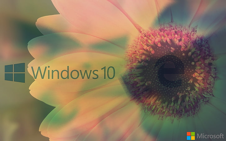 window, Microsoft Windows, Windows 10, MS-DOS, Windows XP, Windows Vista HD wallpaper