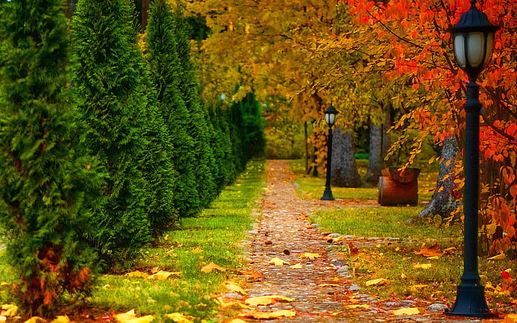 Park, autumn, road, trees, lantern, leaves, HD wallpaper