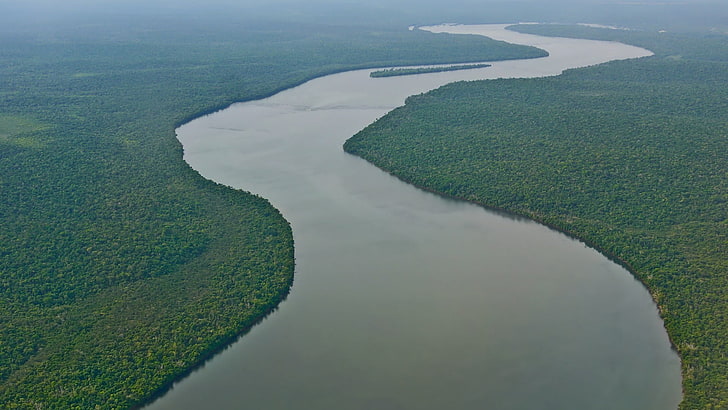 Nile river, Amazon, forest, nature, landscape, tropical forest, HD wallpaper
