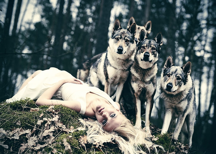 fantasy girl, blonde, animals, wolf, women, animal themes, group of animals, HD wallpaper