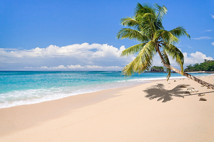 nature, landscape, tropical, island, beach, palm trees, sea