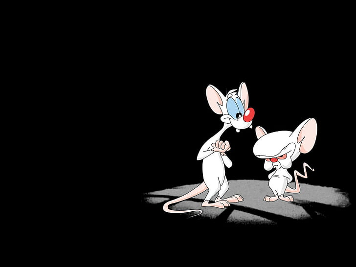 HD wallpaper: Animaniacs Pinky and the Brain Black HD, rat illustration,  cartoon/comic | Wallpaper Flare