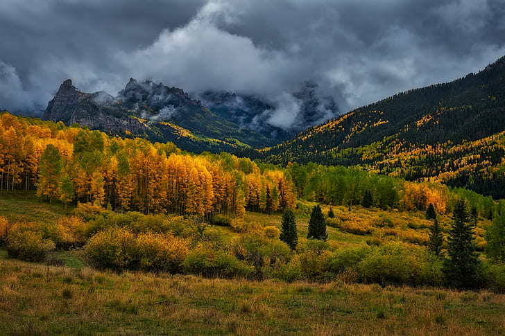 USA, San Juan Mountain, green and beige forest, clouds, Colorado, HD wallpaper