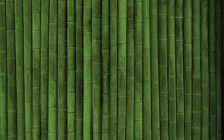 minimalism, bamboo, HD wallpaper