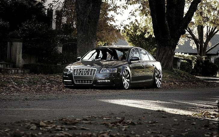 Audi, Audi A8, Audi S8, car, Fall, Urban, vehicle, HD wallpaper