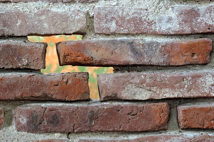 bricks, texture, wall, brick wall, wall - building feature