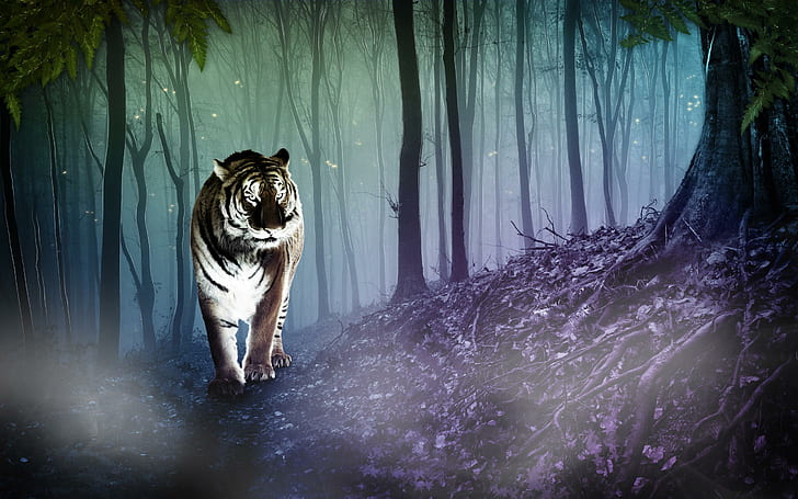 Cgi Tiger, forest, 3d, animal, 3d and abstract, HD wallpaper