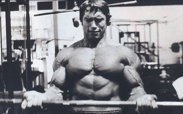 illustration of man, Arnold Schwarzenegger, bodybuilding, Bodybuilder