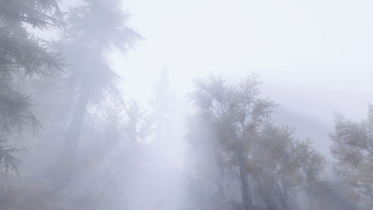 The Elder Scrolls V: Skyrim, environment, mist, forest, tree, HD wallpaper