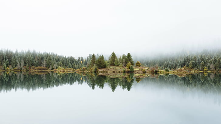 landscape photo of foggy lake with trees, Leaders Of The  World, HD wallpaper