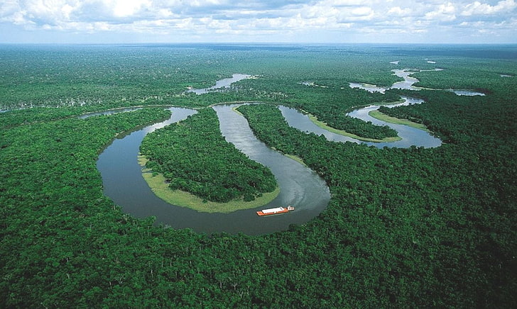 amazonas, barco, naturaleza, rio, selva, HD wallpaper
