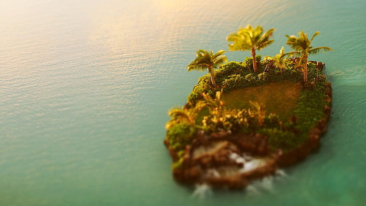 green island, aerial view of island, sea, palm trees, tilt shift