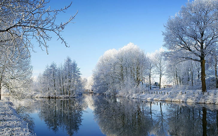 Snowy, Forest, Nature, snow, winter, reflection, tress, season, sky, water, cold