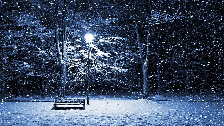 snow covered tree, winter, lantern, cold, trees, Christmas, bench, HD wallpaper