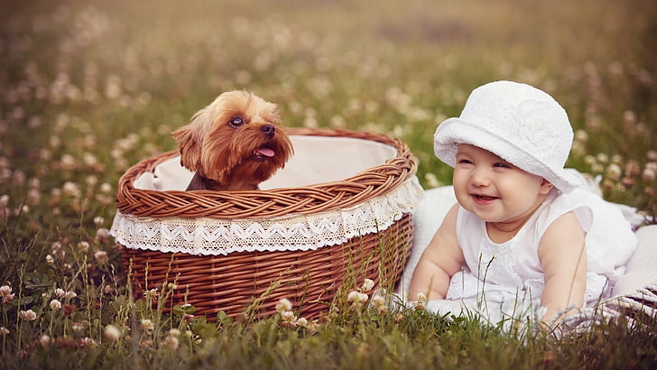 baby, puppies, dog, grass, baskets, smiling, pets, domestic animals