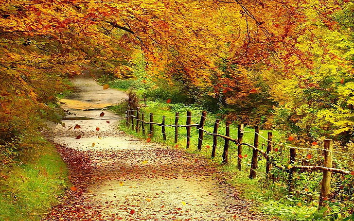 HD wallpaper: Beautiful Autumn Scenery Wallpapers Full Hd Wallpaper |  Wallpaper Flare