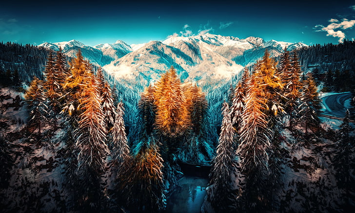 landscape photograph of forest with snow mountain, winter, nature
