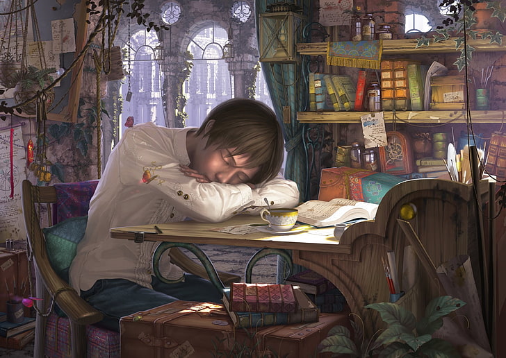 Anime, Original, Book, Boy, Desk, Sleeping, HD wallpaper