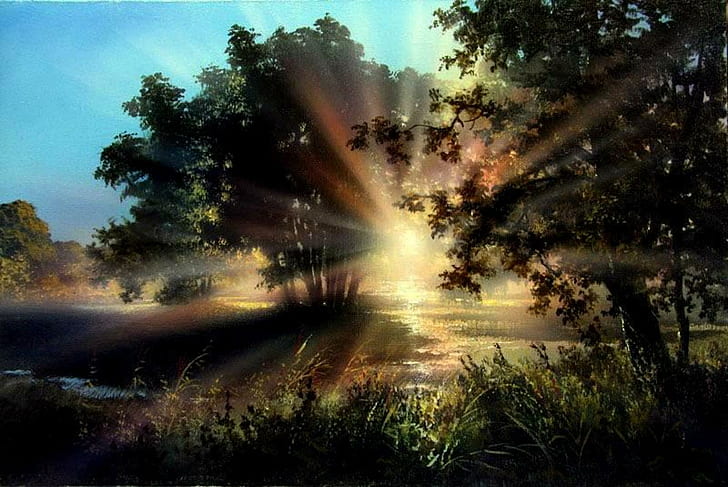 Let The Sun Shine, water, trees, sun rays, meadow, light, creek, HD wallpaper
