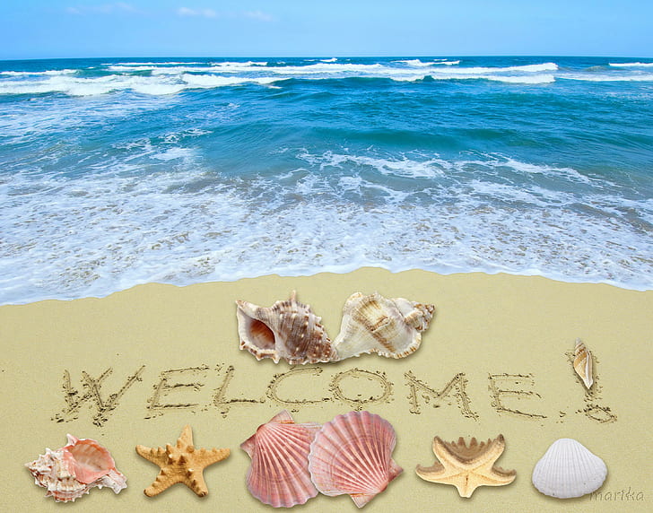 Welcome Summer!, shells, beach, starfish, sunshine, sand, HD wallpaper