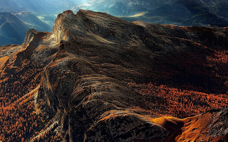 untitled, nature, landscape, Dolomites (mountains), Italy, forest