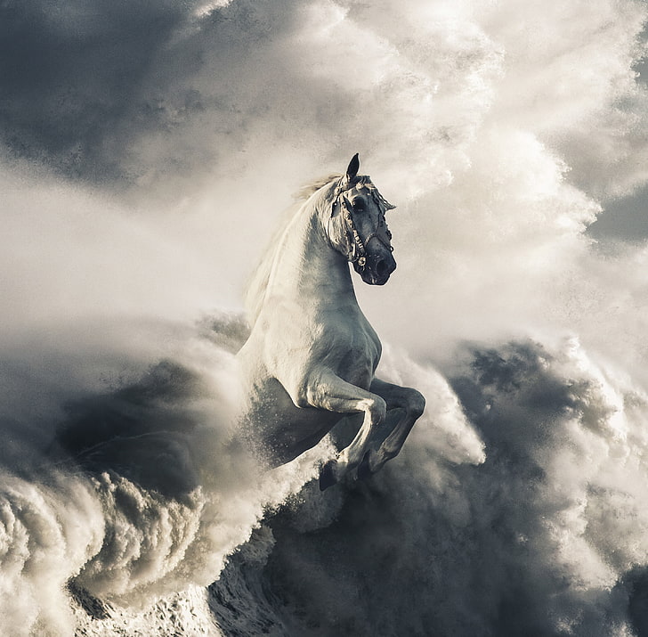 HD wallpaper: Waves, Clouds, Pegasus, White horse | Wallpaper Flare