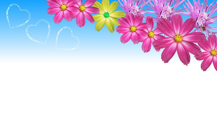 Flower Power, pink petaled flowers illustration, hearts, pink flowers, HD wallpaper