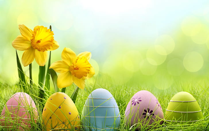 Cute Easter Eggs, 2014 easter eggs, easter 2014, HD wallpaper