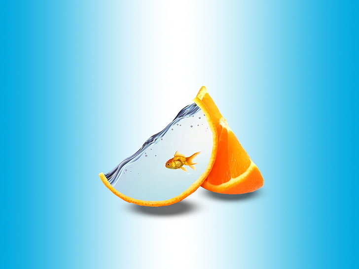 orange fruit goldfish abstract digital artwork, orange (fruit), HD wallpaper