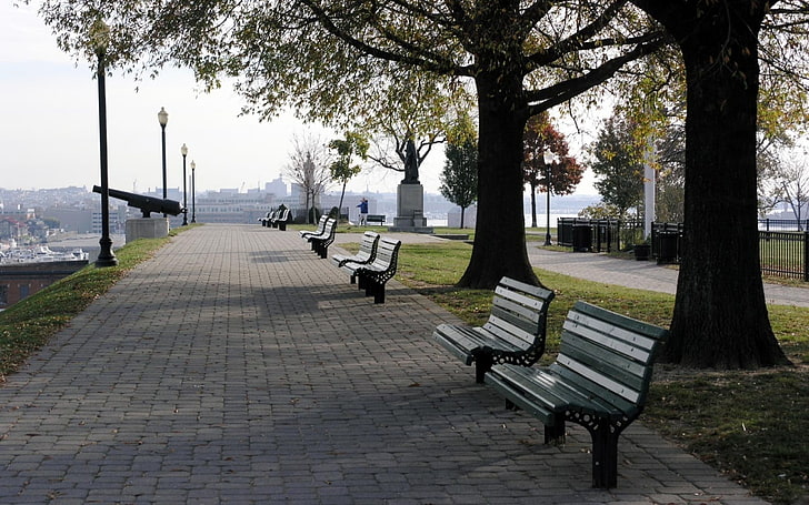 bench, city, trees, plant, seat, park, empty, footpath, park bench