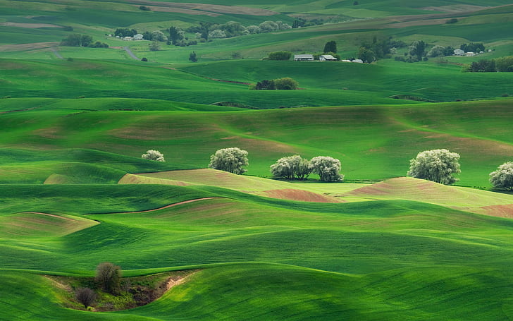 Grassland Landscape Huawei Mate 10 Stock HD wallpaper