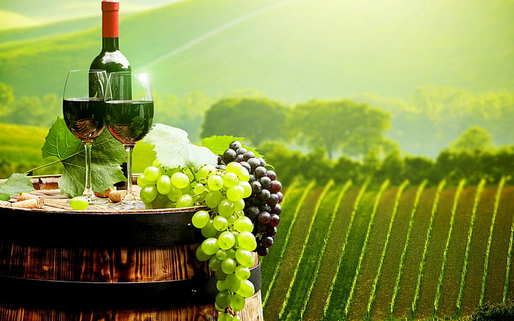 Glasses, bottle, wine, landscape, fields, grapes, plantations, HD wallpaper