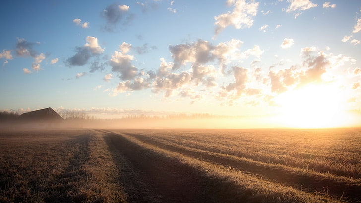 brown wheat fields, nature, landscape, sky, environment, cloud - sky, HD wallpaper