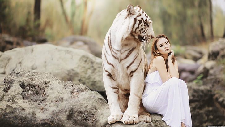 Giant tiger 1080P, 2K, 4K, 5K HD wallpapers free download | Wallpaper Flare