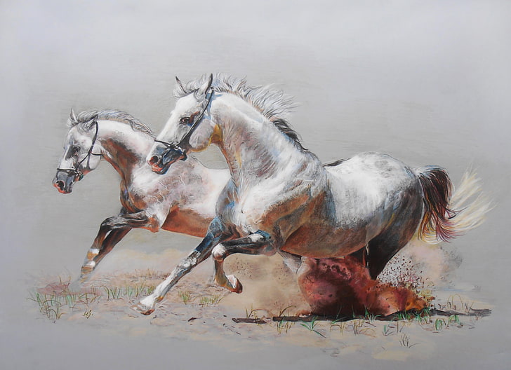 HD wallpaper: two running white horses painting, figure, dust, pair, animal  | Wallpaper Flare