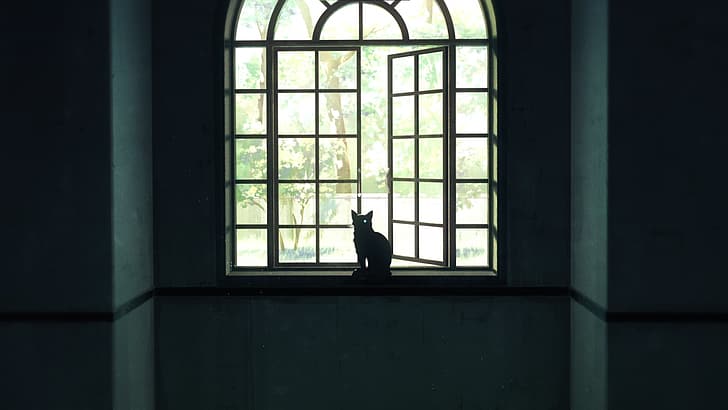 Jujutsu Kaisen, cats, window, sunlight, trees, nature, anime