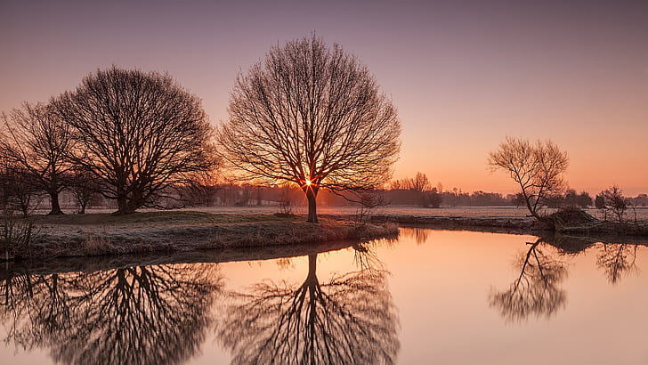 River Stour, Suffolk, UK nature scenery, sunrise, frost, trees