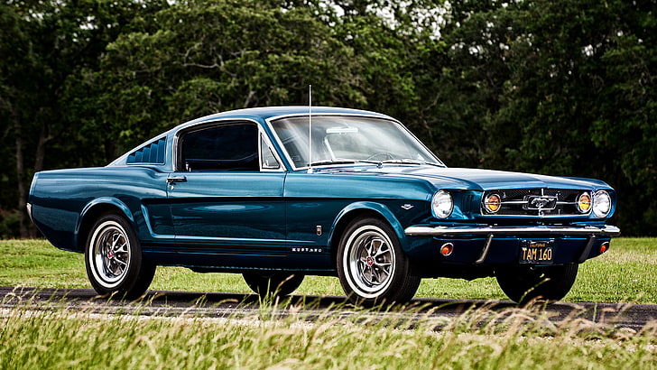 blue Ford Mustang coupe, 1965, Fastback, car, retro Styled, old-fashioned